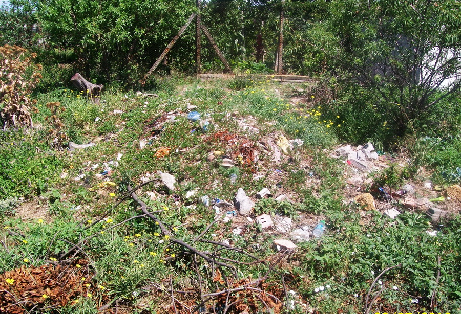 Свалка, В Кольчугино стихийная свалка кишит змеями и крысами