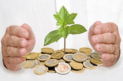 Поддержка предпринимательства, Общественники Крыма помогут защитить бизнес от необоснованных проверок