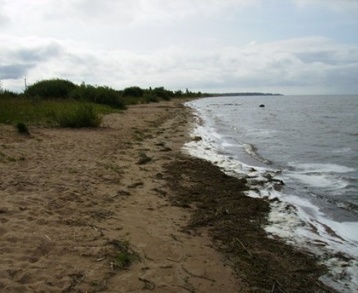 На установление границ прибрежных полос в Крыму выделили 752 тыс. грн. На установление границ прибрежных полос в Крыму выделили 752 тыс. грн.