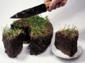 Частнику не дали приватизировать 0,12 га Ялтинского заповедника земля, Частнику не дали приватизировать 0,12 га Ялтинского заповедника