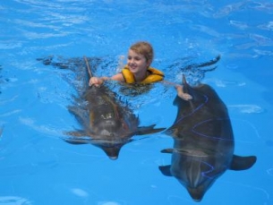 В Алуште откроется Центр дельфинотерапии Дельфинарий, В Алуште откроется Центр дельфинотерапии