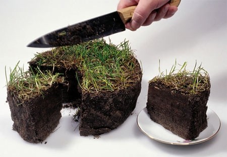 В Крыму у частника забрали 250 га на берегу Сиваша земля, В Крыму у частника забрали 250 га на берегу Сиваша