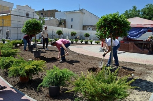 сквер Республики, В сквере Симферополя взамен сломанного посадили новый кедр