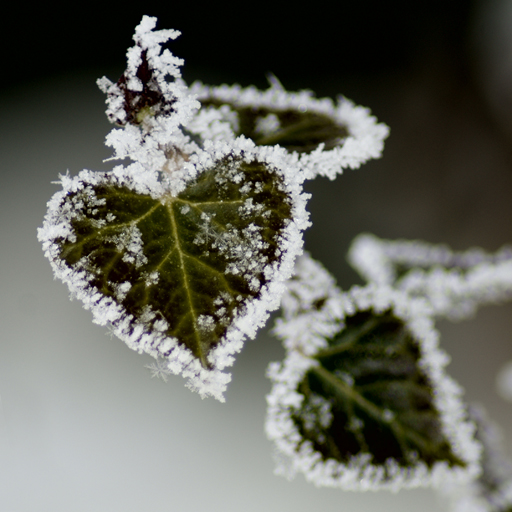Погода, На выходных в Крыму обещают заморозки
