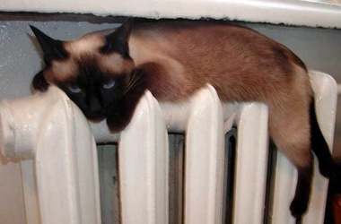 В Симферополе хотят пораньше начать отопительный сезон Отопительный сезон, В Симферополе хотят пораньше начать отопительный сезон