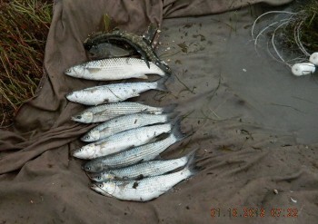 В Джанкойском районе задержали браконьера Браконьерство, В Джанкойском районе задержали браконьера
