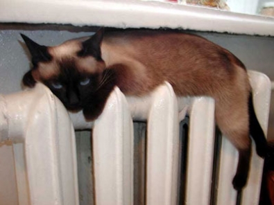 В Феодосии начался отопительный сезон Отопительный сезон, В Феодосии начался отопительный сезон