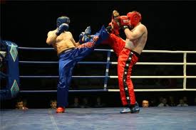 Единоборства, Крымчане завоевали 4 медали по кикбоксингу