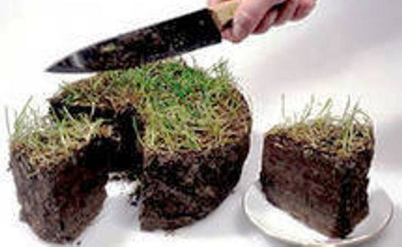 В Крыму у Миноброны Украины пытались забрать участок земли земля, В Крыму у Миноброны Украины пытались забрать участок земли