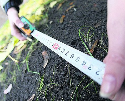 В Крыму свыше 600 тыс. крымчан приватизировали земельные участки земля, В Крыму свыше 600 тыс. крымчан приватизировали земельные участки