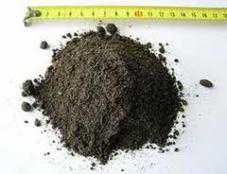 В Феодосии вернули громаде 1,5 га земли в районе Золотого пляжа земля, В Феодосии вернули громаде 1,5 га земли в районе Золотого пляжа