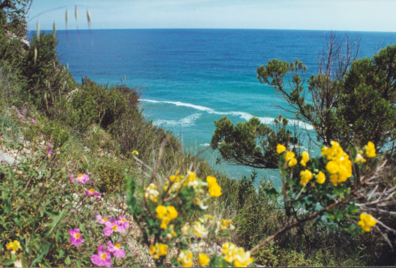 В малых заповедниках Крыма выявили нарушения заповедного режима Заповедник, В малых заповедниках Крыма выявили нарушения заповедного режима