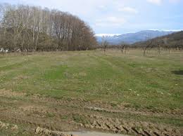 Налоги, В Крыму предложили зачислять часть платы за землю в районные бюджеты