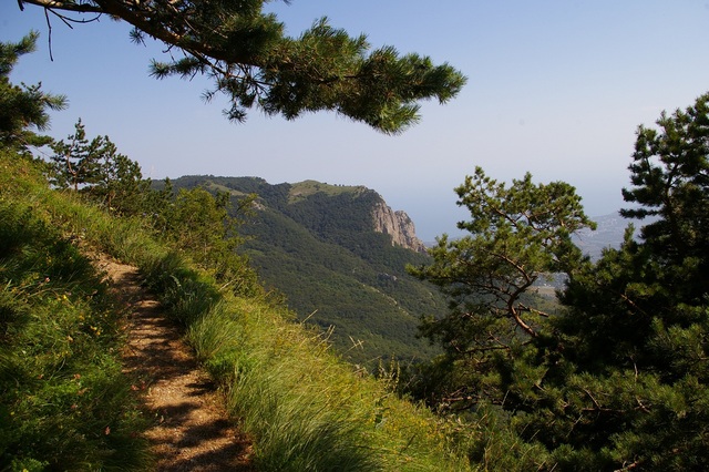Туристы без опасений могут посещать тропы Ялтинского заповедника туристический маршрут, Туристы без опасений могут посещать тропы Ялтинского заповедника