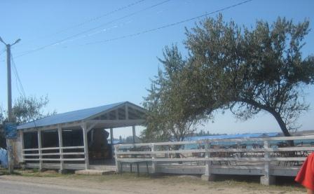 незаконное строительство, В Черноморском районе снесли незаконное кафе на побережье