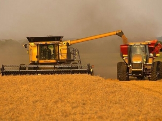 В Крыму собрали 842 тыс. тонн зерновых и масличных культур В Крыму собрали 842 тыс. тонн зерновых и масличных культур