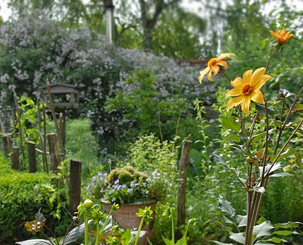 Ярмарка, В Алуште пройдет ярмарка «Зеленый мир»