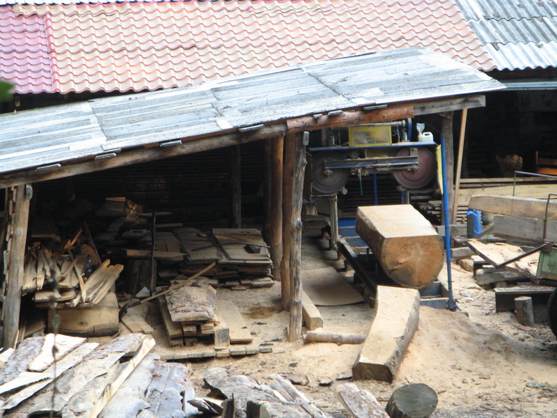 В Крымском заповеднике незаконно ведется хоздеятельность, – экологи Заповедник, В Крымском заповеднике незаконно ведется хоздеятельность, – экологи