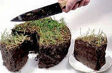 Земля, В Форосе у недобросовестного застройщика забрали 0,7 га земли