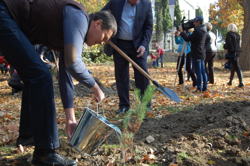 Высадка деревьев, В Алуште высадили новые деревья