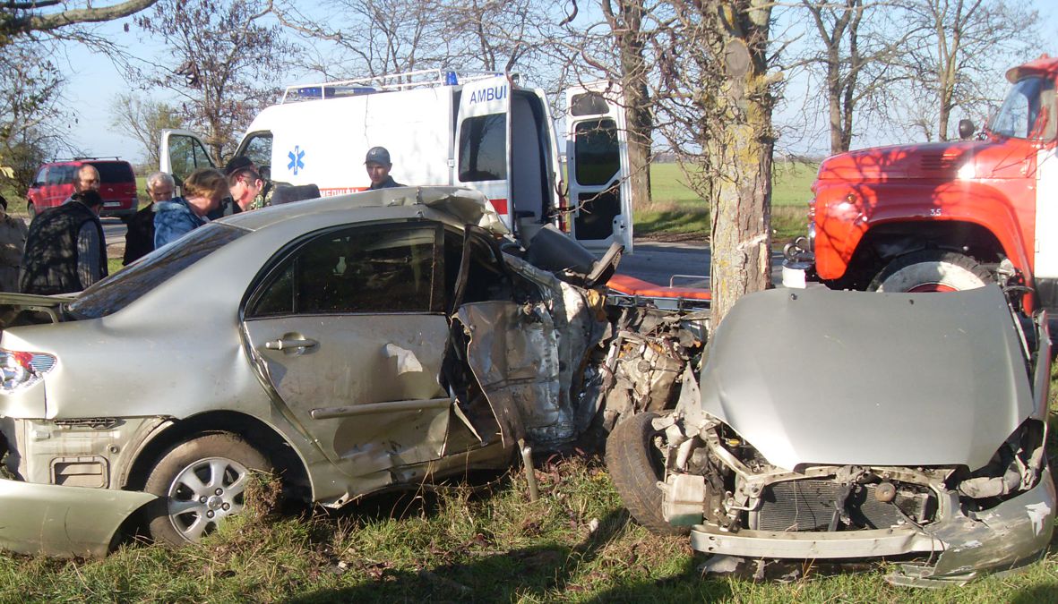 В востоке Крыма автомобиль врезался в дерево ДТП, В востоке Крыма автомобиль врезался в дерево