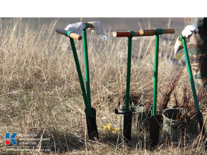 Субботник, В Алуште проведут субботник и посадят деревья