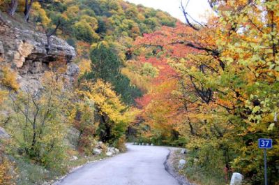 Прокуратура вернула Ялтинскому заповеднику более 1 га земли Ялтинский заповедник, Ялтинский горно-лесной заповедник, Прокуратура вернула Ялтинскому заповеднику более 1 га земли
