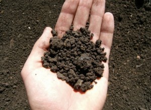 Земля, Пайщикам вернули 700 га на севере Крыма 