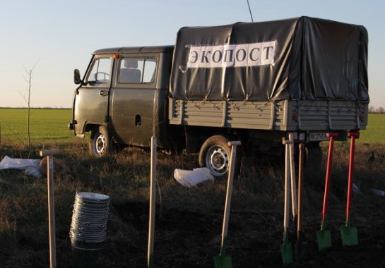 Высадка деревьев, В Крыму работает 11 экопостов по посадке деревьев