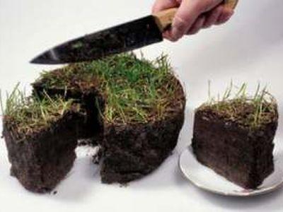 Землю военной клиники в Севастополе отдали в частную собственность Земля, Землю военной клиники в Севастополе отдали в частную собственность