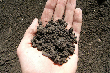 В Симферополе возьмутся за недобросовестных арендаторов земли Земля, В Симферополе возьмутся за недобросовестных арендаторов земли