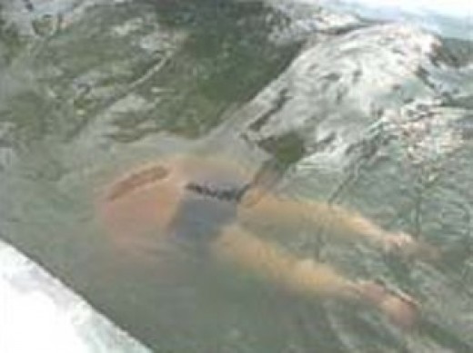 В Северо-Крымском канале обнаружили тело неизвестного мужчины Розыск, В Северо-Крымском канале обнаружили тело неизвестного мужчины