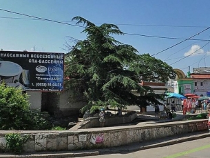 Прокуратура установит виновных в уничтожении ливанского кедра в Симферополе Вырубка деревьев, Прокуратура установит виновных в уничтожении ливанского кедра в Симферополе