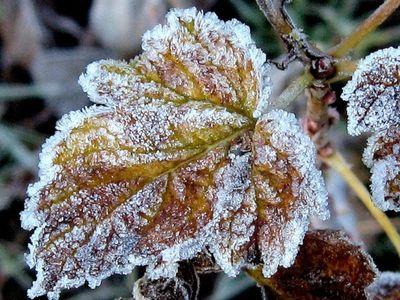 Погода, На неделе в Крым придут морозы