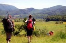 В горах близ Алушты заблудились две туристки Происшествие, В горах близ Алушты заблудились две туристки