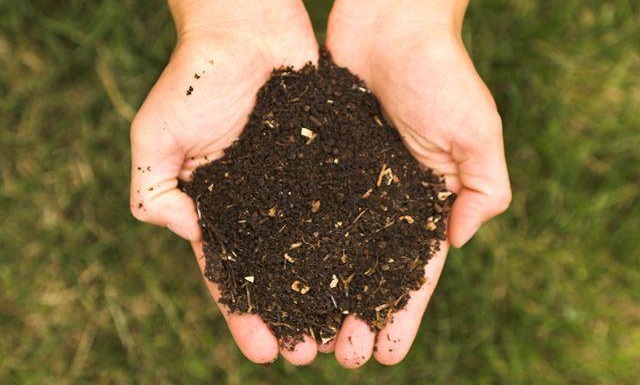 Земля, Ялтинскому заповеднику вернули часть земель