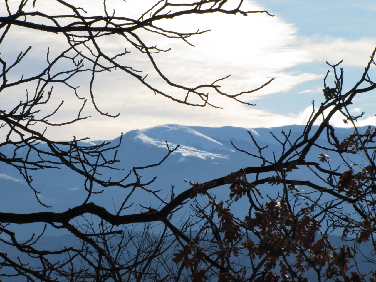 Погода, На неделе в Крыму снег и морозы
