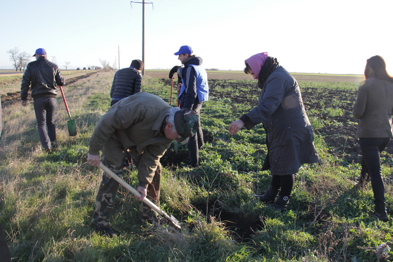 Высадка деревьев, В Крыму 1,4 тыс. человек высадили деревья вдоль дорог