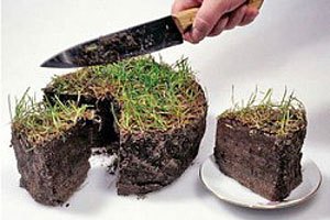 Экологи отдали под частную застройку земли в Ялтинском заповеднике Земля, Экологи отдали под частную застройку земли в Ялтинском заповеднике