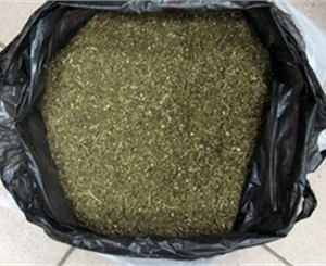 Наркотики, В Крыму у подростка нашли мешок конопли