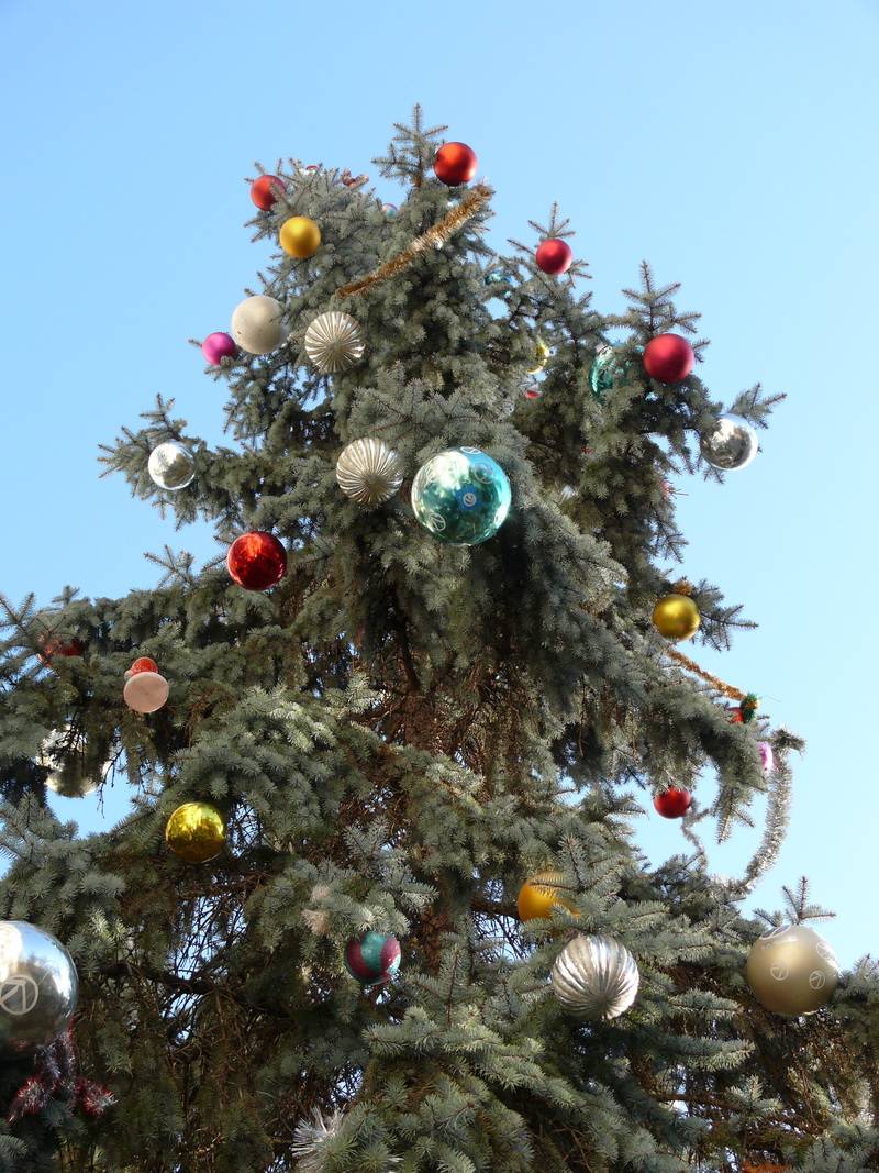 Городская елка, В Симферополе нарядили живую елку