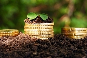 Бюджет, За год агропромышленный комплекс Крыма принес в бюджет 25% средств