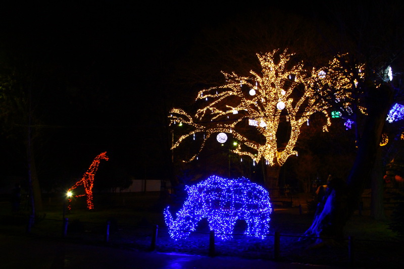 Новый год, Детский парк Симферополя засиял по-новому
