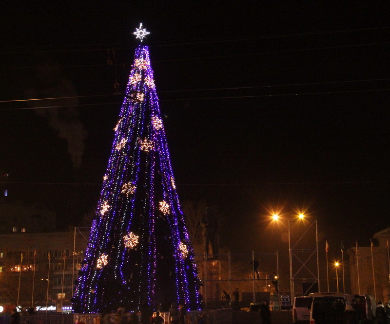 В Симферополе зажглась главная городская елка Городская елка, В Симферополе зажглась главная городская елка