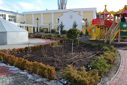 сквер Республики, В сквере Симферополя сломали очередной кедр 