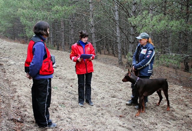 Кинологи, В Севастополе провели аттестацию собак-спасателей