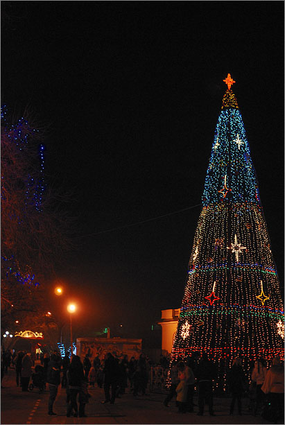 В Феодосии зажгли огни на новогодней елке Городская елка, В Феодосии зажгли огни на новогодней елке