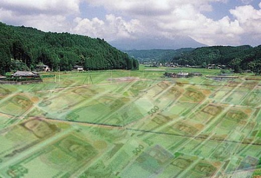 Земля, Регионы Крыма получили 53,5 млн. грн. от продажи земли 