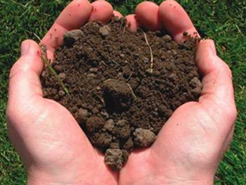 В Симферополе владелец автостоянки уничтожил 10 га сельскохозяйственных земель Земля, В Симферополе владелец автостоянки уничтожил 10 га сельскохозяйственных земель