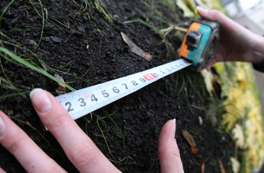 Сельсовет незаконно выделил под строительство 7 га леса под Алуштой Земля, Сельсовет незаконно выделил под строительство 7 га леса под Алуштой